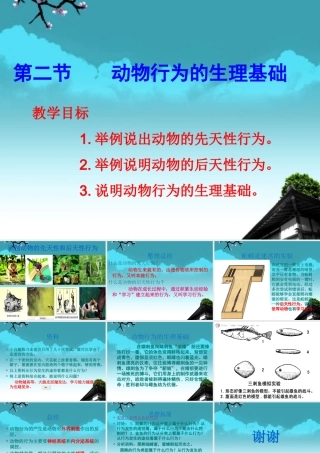 云南省麻栗坡县八年级生物上册(17.2 动物行为的生理基础)课件 苏教版 课件