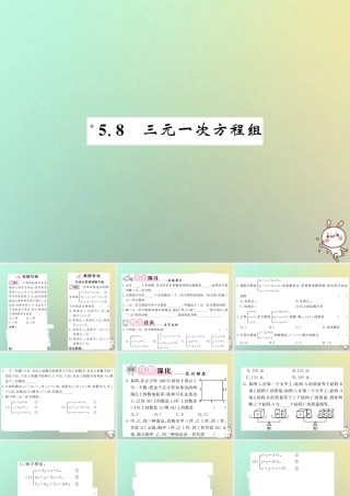 八年级数学上册 第五章 二元一次方程组 5.8 三元一次方程组习题课件 (新版)北师大版 课件