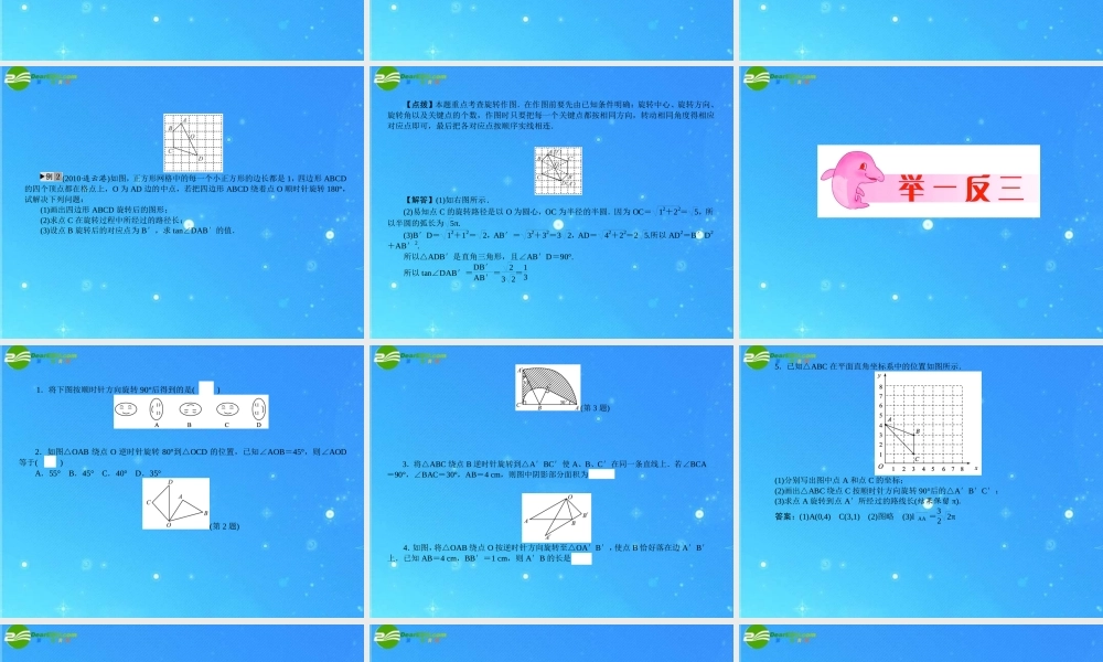 中考数学复习 第30讲 图形的旋转课件