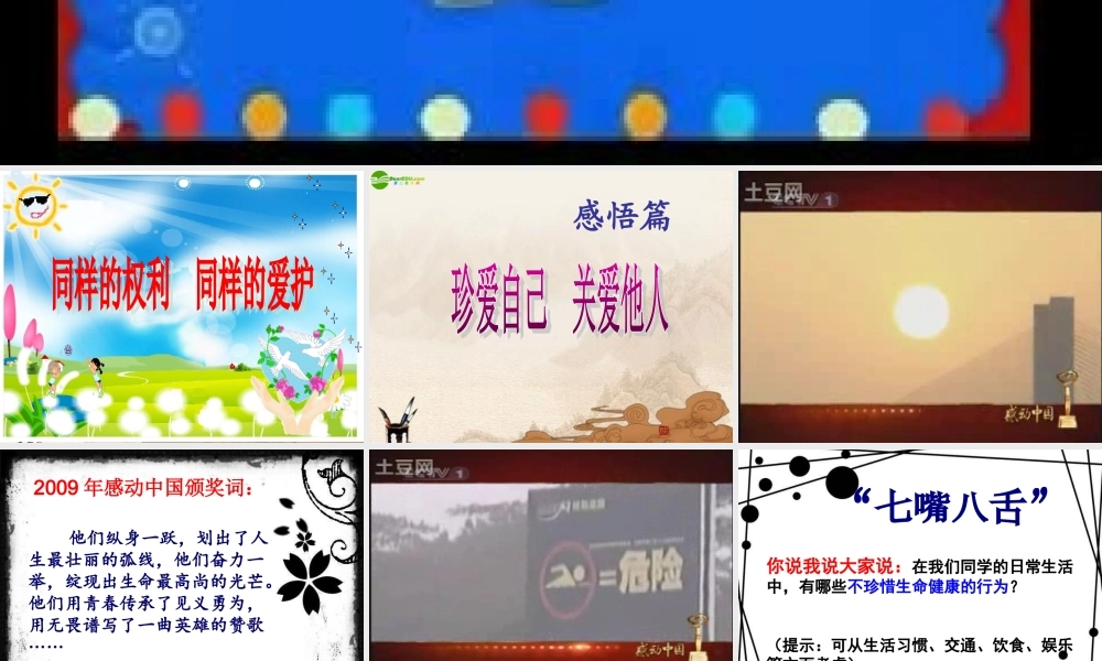 八年级政治下册 同样的权利 同样的爱护课件 人教新课标版 课件