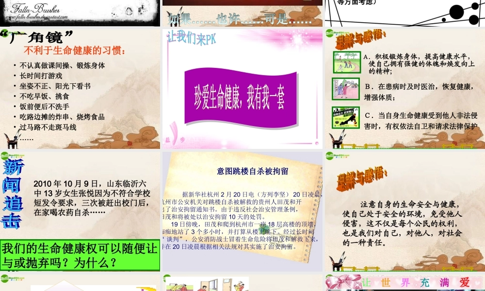 八年级政治下册 同样的权利 同样的爱护课件 人教新课标版 课件