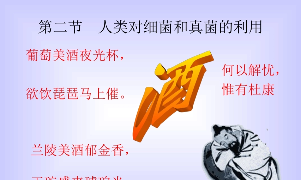 八年级生物新人教版类对细菌和真菌的利用ppt 课件