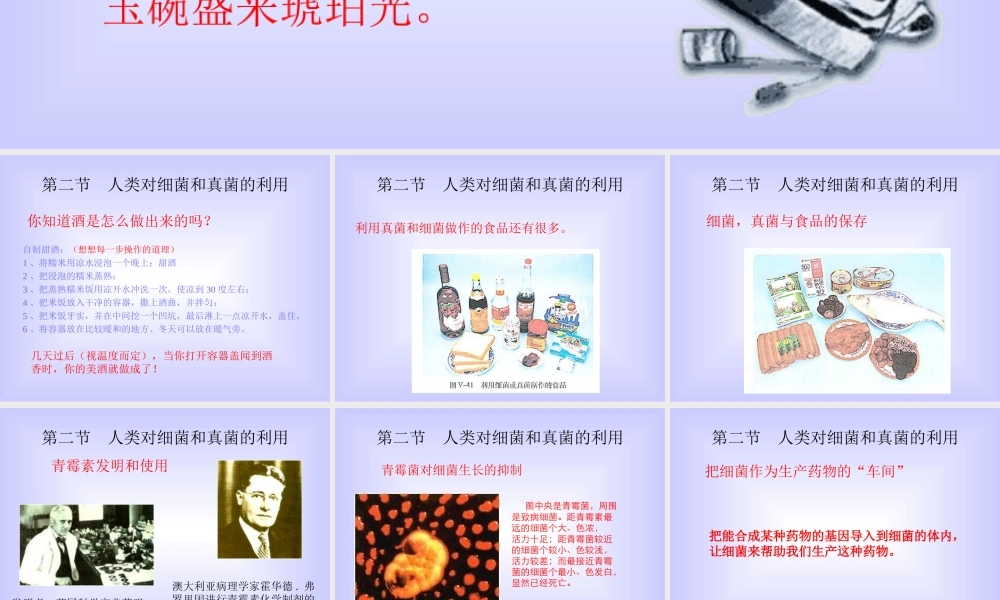 八年级生物新人教版类对细菌和真菌的利用ppt 课件