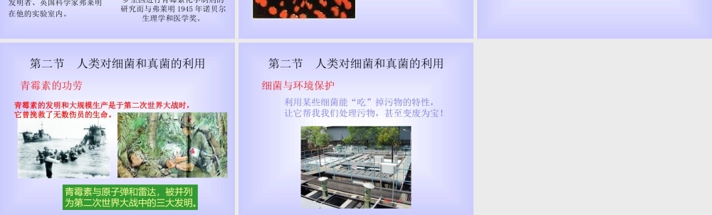 八年级生物新人教版类对细菌和真菌的利用ppt 课件
