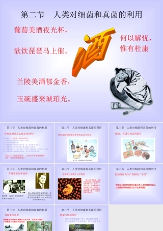 八年级生物新人教版类对细菌和真菌的利用ppt 课件