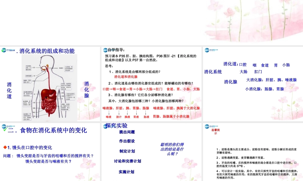 中学七年级生物下册 第二章 第二节 消化和吸收课件 (新版)新人教版 课件