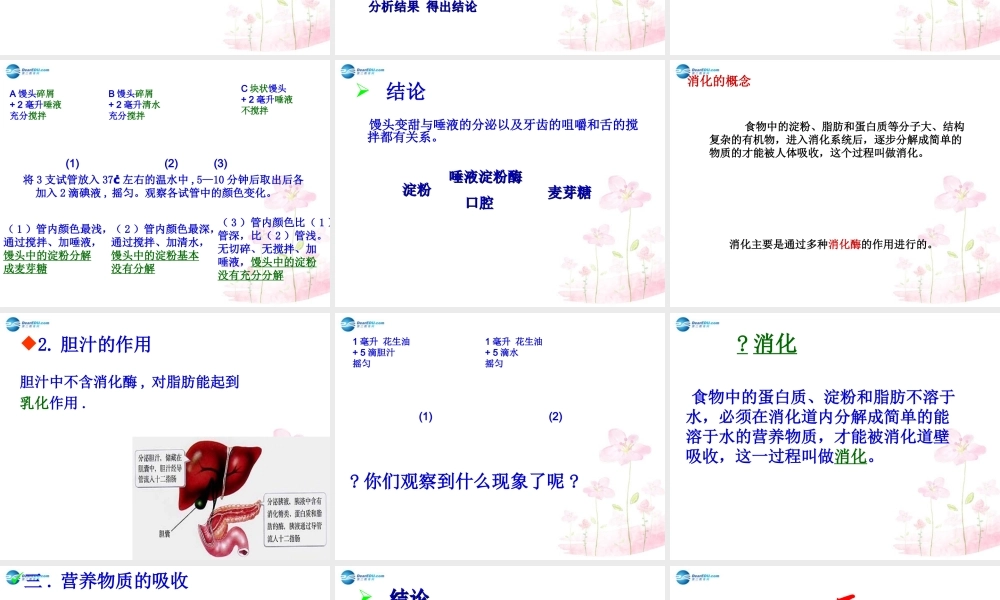 中学七年级生物下册 第二章 第二节 消化和吸收课件 (新版)新人教版 课件