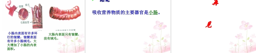 中学七年级生物下册 第二章 第二节 消化和吸收课件 (新版)新人教版 课件