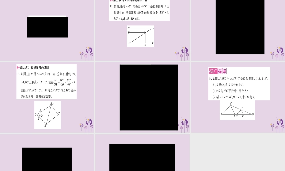 九年级数学上册 第22章 相似形 224 图形的位似变换 第1课时 位似图形作业课件 (新版)沪科版 课件