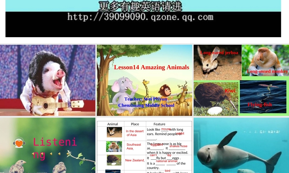八年级英语冀教版下册Unit314AmazingAnimals (2)