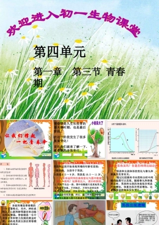 七年级生物下册：第四单元第一章第三节青春期2课件 人教版 课件