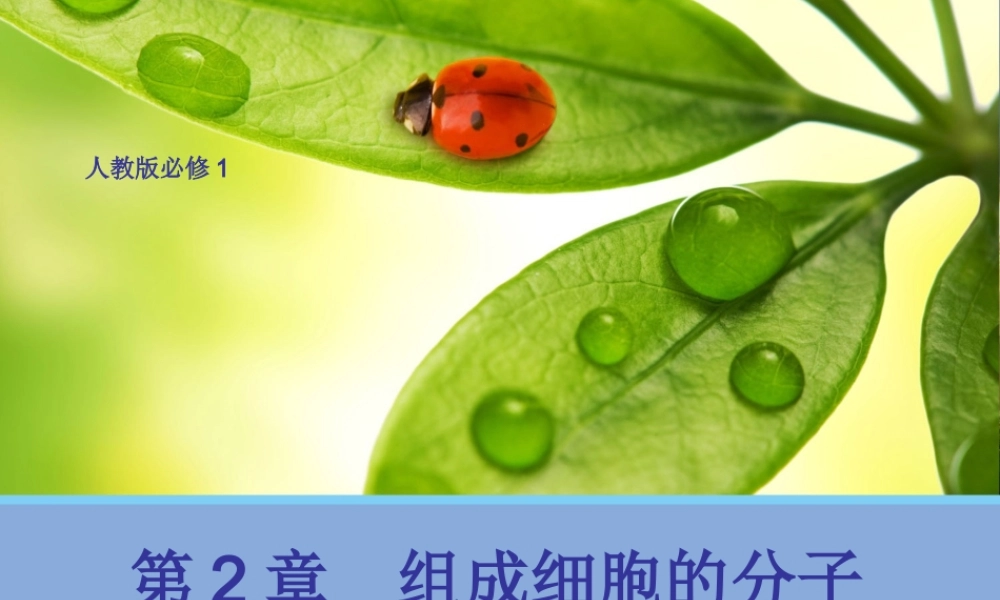 【生物】25细胞中的无机物课件2（人教版必修1）