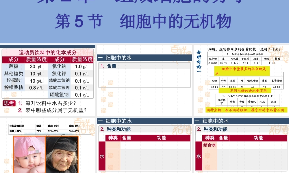 【生物】25细胞中的无机物课件2（人教版必修1）
