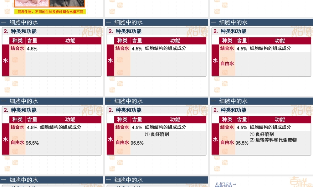 【生物】25细胞中的无机物课件2（人教版必修1）