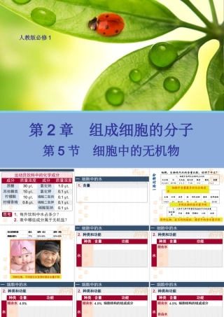 【生物】25细胞中的无机物课件2（人教版必修1）