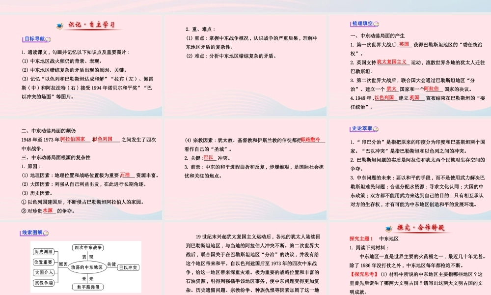 九年级历史下册 第六单元 亚非拉国家的独立和振兴 第13课 动荡的中东地区习题课件 新人教版 课件