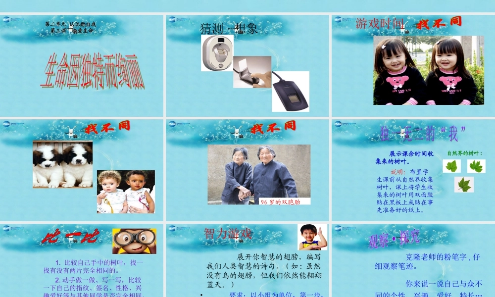 中学七年级政治上册(第三课 第二框 生命因独特而绚丽)课件 新人教版 课件