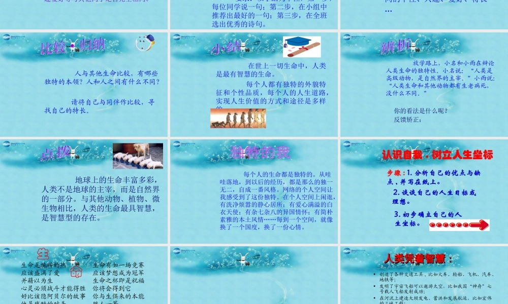 中学七年级政治上册(第三课 第二框 生命因独特而绚丽)课件 新人教版 课件