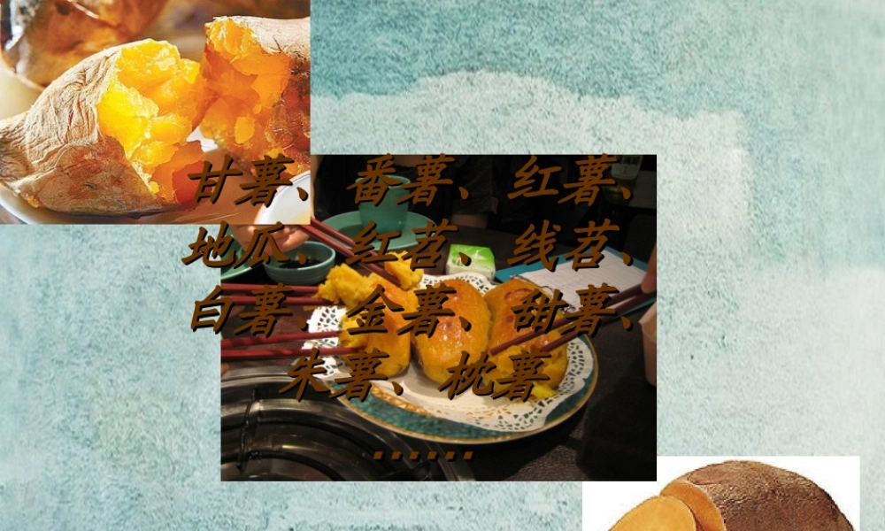 中学七年级历史下册 第明清经济的发展与 闭关锁国 课件 新人教版 课件