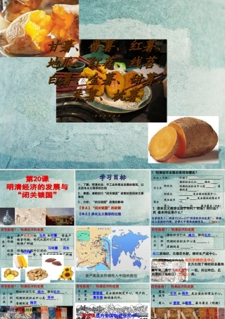 中学七年级历史下册 第明清经济的发展与 闭关锁国 课件 新人教版 课件