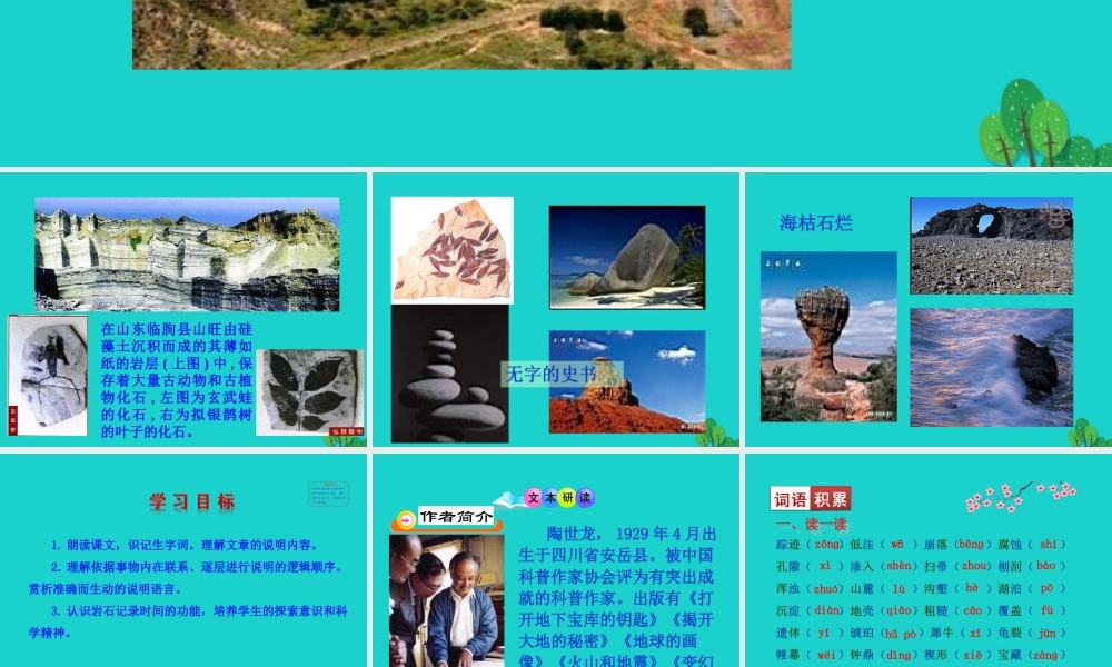 八年级语文下册 第二单元 8时间的脚印课件 新人教版 课件