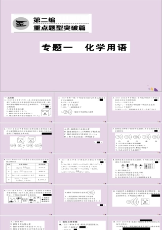 中考化学复习 第二编 重点题型突破篇 专题1 化学用语(精练)课件