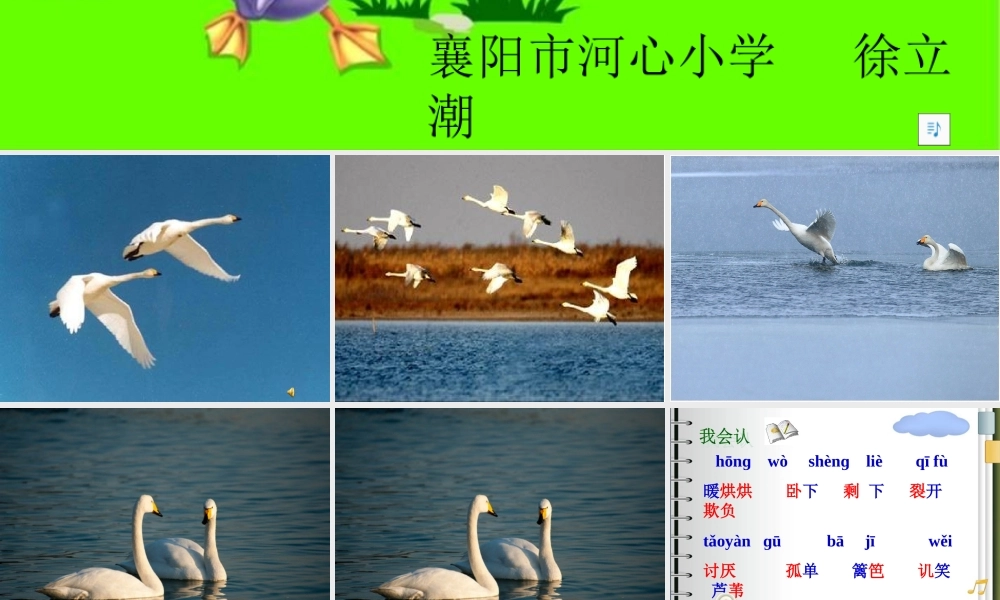 小学二年级下册《丑小鸭》