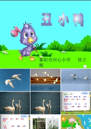 小学二年级下册《丑小鸭》
