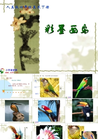 四年级美术下册《用彩墨画鸟》PPT课件之二（人美版）