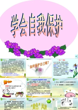 八年级思想品德上册 五单元第三节(学会自我保护)课件 湘师版A 课件