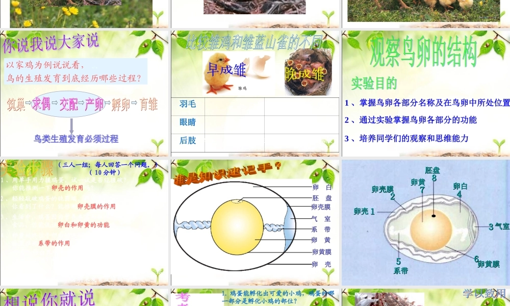 《鸟的生殖和发育》参考课件2
