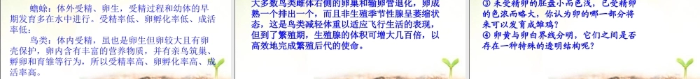 《鸟的生殖和发育》参考课件2