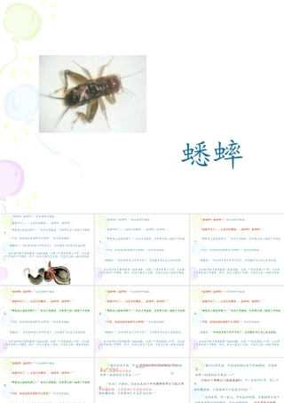 29-在牛肚子里旅行