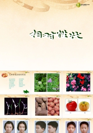 八年级生物下册 第七单元第二章生物的遗传和变异 第一节基因控制生物的性状课件2 新人教版 课件