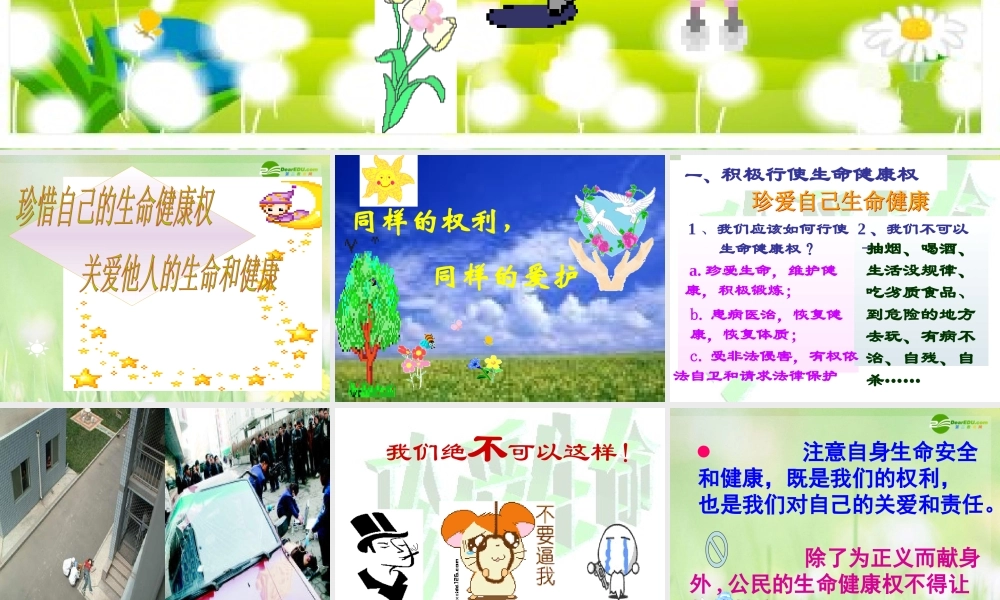 八年级政治下册 课同样的权利 同样的爱护件 新人教版 课件