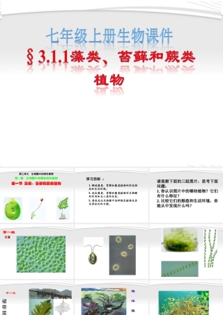 七年级生物上册 第3单元第1章第1节藻类、苔藓和蕨类植物课件 人教新课标版 课件