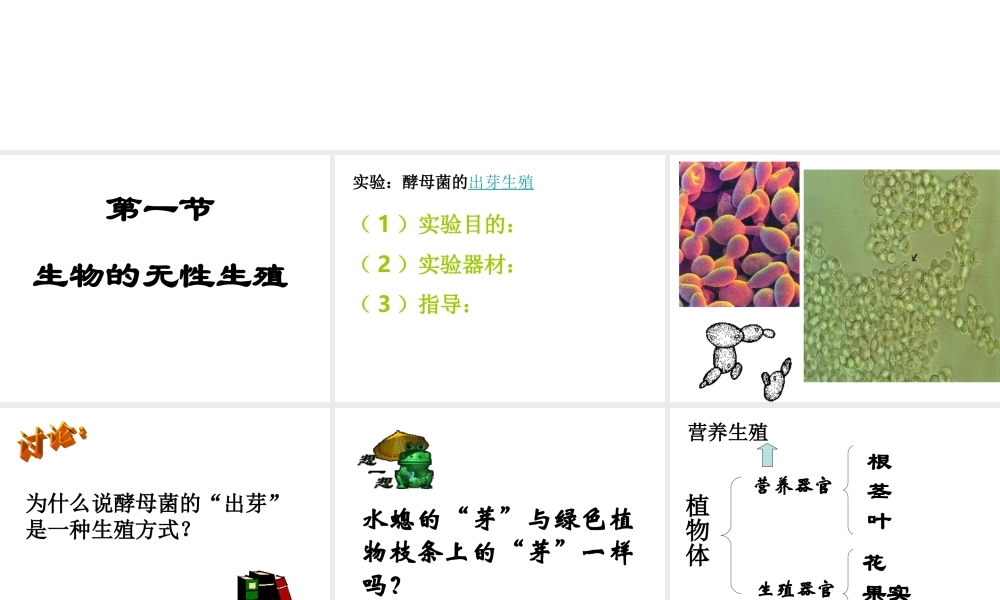 八年级生物 无性生殖 课件