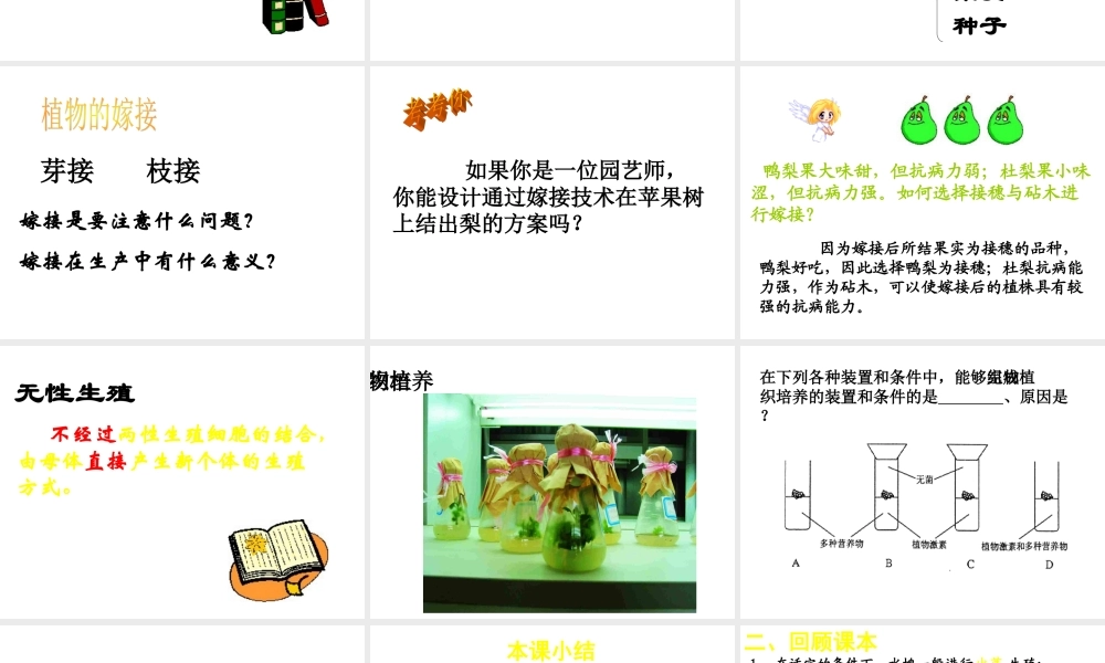 八年级生物 无性生殖 课件