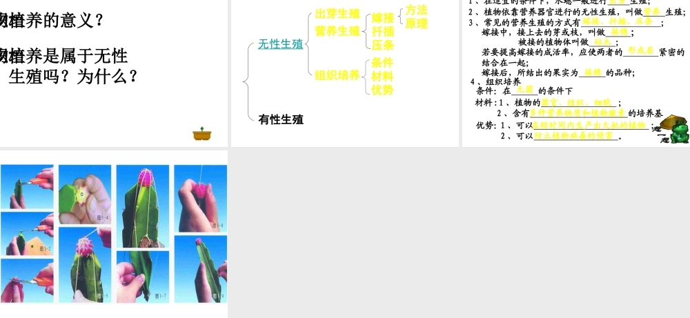 八年级生物 无性生殖 课件