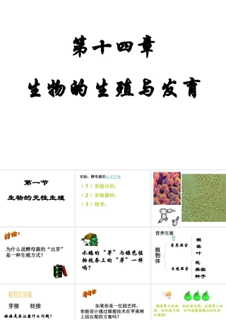 八年级生物 无性生殖 课件