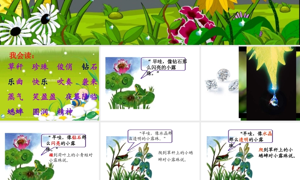 苏教版三年级上册《小露珠》