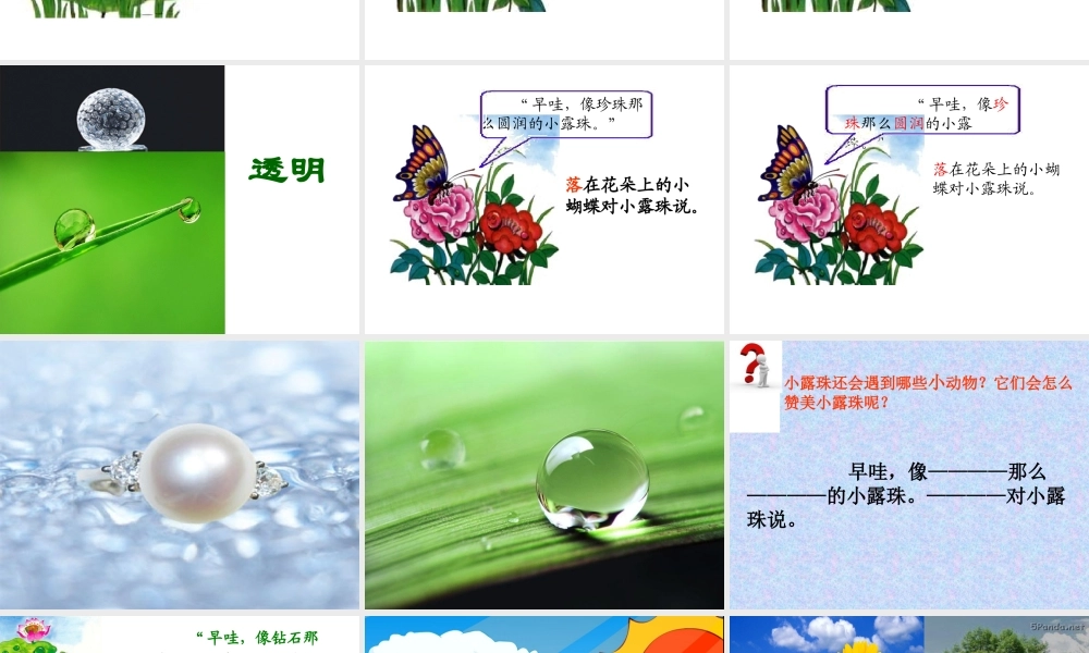 苏教版三年级上册《小露珠》