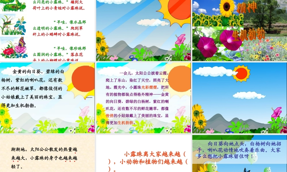 苏教版三年级上册《小露珠》