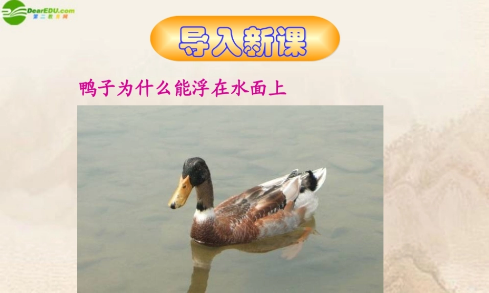 九年级物理 第十四章第五节浮力课件 人教新课标版 课件