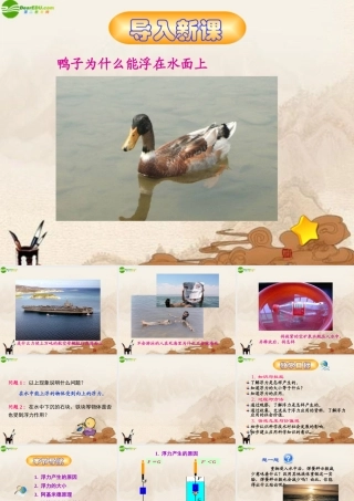 九年级物理 第十四章第五节浮力课件 人教新课标版 课件