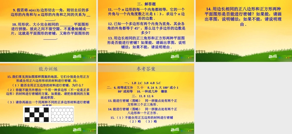 九年级数学中考专题(空间与图形)—第十二讲(四边形(四))课件(北师大版) 九年级数学中考专题课件-空间与图形(共18套)北师大版