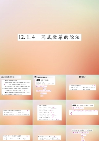 八年级数学上册 第12章 整式的乘除 12.1 幂的运算 12.1.4 同底数幂的除法课时检测课件 (新版)华东师大版 课件