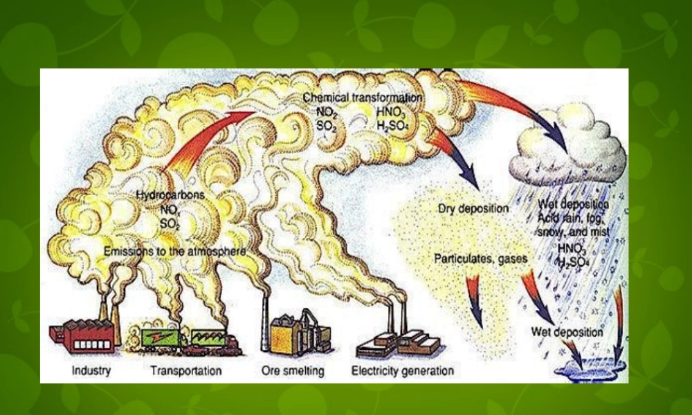 九年级英语上册 Module 12 Unit 1 If everyone starts to do something, the world will be saved课件 (新版)外研版 课件