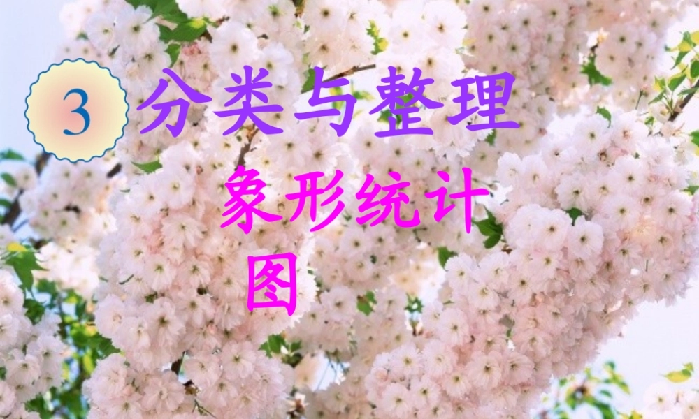 人教版一年级数学下-分类与整理