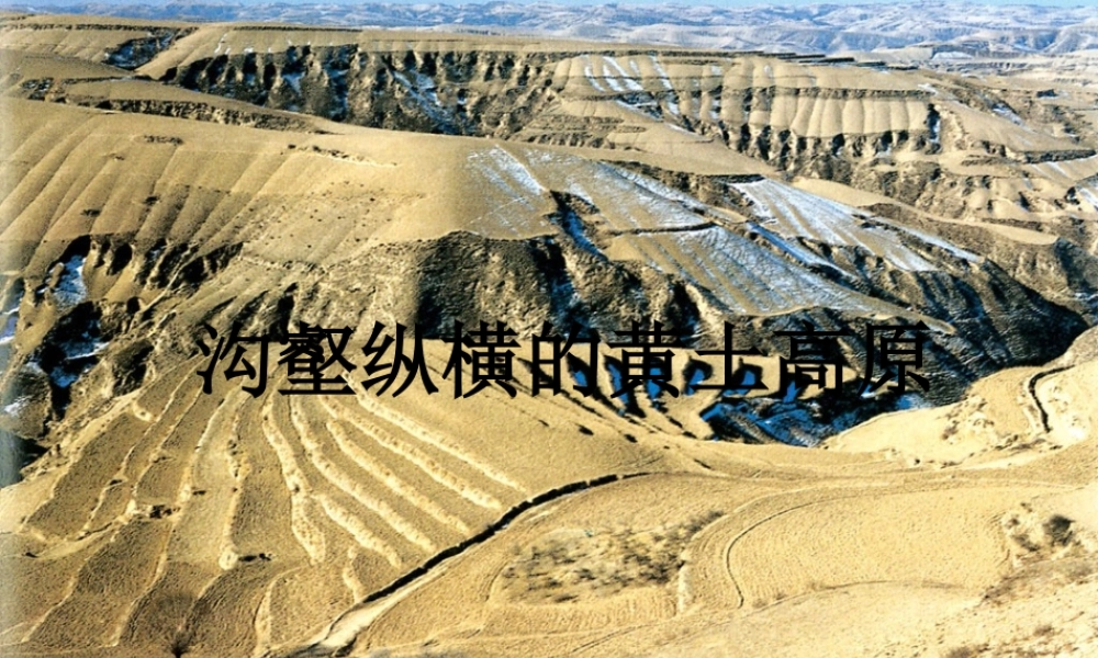 初中部七年级历史与社会下册 第六单(一方水土养一方人)沟壑纵横的黄土高原课件 人教版 课件